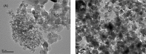 FIGURE 5 TEM images of (A) CdS/Ag/TiO2-R prepared by precipitation method, and (B) CdS/Ag/TiO2 prepared by photodeposition method.