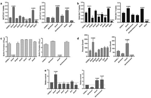 Figure 4. Mutation of sarA in UAMS-1 has the greatest effect on osteomyelitis-related phenotypes owing primarily to its impact on protease production. a and b) Cytotoxicity of CM from overnight cultures of UAMS-1 and isogenic mutants was assessed using MC3T3-E1 (a) and RAW 264.7 cells (b) as surrogates for osteoblasts and osteoclasts, respectively. CM, sterile bacterial culture media (negative control), or ethanol (positive control) was mixed in a 1:1 ratio with the appropriate cell culture medium for cytotoxicity assays. Wells were stained with calcein-AM LIVE/DEAD Viability/Cytotoxicity Kit (Thermo Fisher Scientific). Viability is reported as fluorescence intensity/100,000. c) Biofilm formation was assessed using a microtiter plate assay and is reported as the absorbance of crystal violet staining at 595nm (OD595). d) for each strain, 1 x 106 cfu was inoculated into TSB with or without 10 μg/mL indolicidin and incubated overnight with shaking. Growth was measured by OD600 relative to a DMSO control for each mutant. e) 1 x 105 cfu of bacterial cells from exponential phase cultures were mixed with 1 ml of whole human blood. A sample was taken immediately after mixing and after a 3 hr incubation. Percent survival of each mutant was calculated and standardized relative to the results observed with UAMS-1. The difference between the results observed with the sarA mutant and its protease-deficient derivative were not statistically significant. In all cases, statistical significance was assessed by one-way ANOVA. Numbers indicate p-values by comparison to the results observed with the UAMS-1 parent strain.