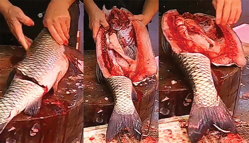 Figure 5. A vendor’s finger digs deep into a fish to create bloody freshness, Smithfield Wet Market, 15 July 2022. Photo by B. L. Iaquinto.