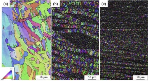 Figure 22. EBSD analysis showing the grain orientation maps of (a) LPBF-processed pure 316L, (b) 5 wt% TiB2/316L SMC, and (c) 10 wt% TiB2/316L SMC. Reprinted with permission from [Citation112].