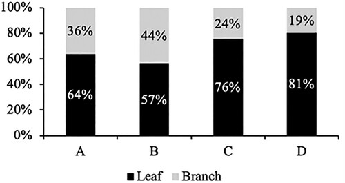 Figure 4. The proportion of leaf and branch in newly emerged flush at 4 WATS. Note: Four compared treatments: defoliation and drought stress (A); only defoliation (B); only drought stress (C); control (D).