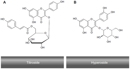 Figure 4 The molecular structures of tiliroside (A) and hyperoside (B).