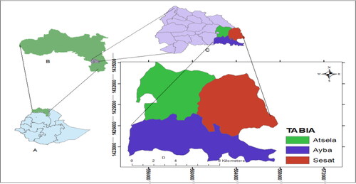Figure 1. Map of study area (Amba Alaje district).Source: DLAO. (Citation2019).