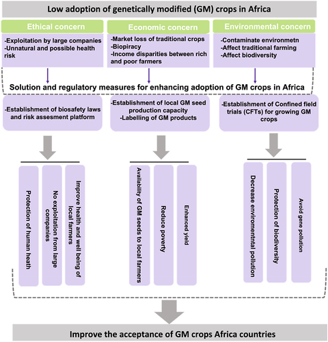 Figure 1. Possible solutions for factors affecting the acceptability of genetically modified (GM) crops in Africa.