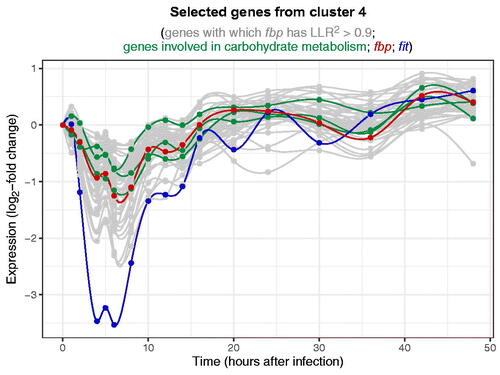 Figure F2. Temporal expression patterns of selected genes in cluster 4. Light gray lines in the background correspond to genes with which the gene fbp has a Bayesian LLR2>0.9. fbp, shown in red, is known to be involved in carbohydrate metabolism. The three green lines correspond to genes Gale, AGBE, and Gba1b, which also have known roles in carbohydrate metabolism but have an unknown relationship to fbp according to the STRING database. The dark blue line corresponds to the gene fit, whose expression pattern is similar to that of fbp but with much more pronounced down-regulation. fit is known to encode a protein that stimulates insulin signaling, a process that regulates the expression of genes involved in carbohydrate metabolism.