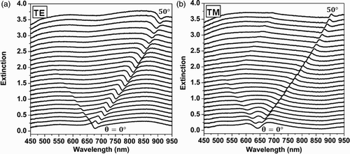 Figure 2. Optical extinction spectra for TE and TM polarizations in air, respectively.