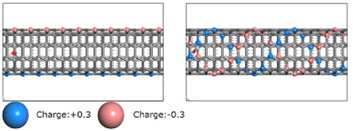 Figure 2. Side views of the pore of used two membrane models. (Left) The straight model. (Right) The double helix model. Charged carbon-like atoms are spheres colored blue (shade) or red (light), while the other atoms grey are uncharged (shown by bonding lines).