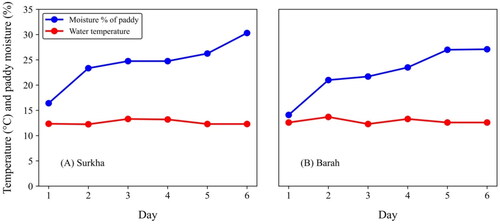 Figure 3. The moisture content of paddy grains and water temperature of Surkha Zurati (A) and Barah (B) rice cultivars during soaking by days.