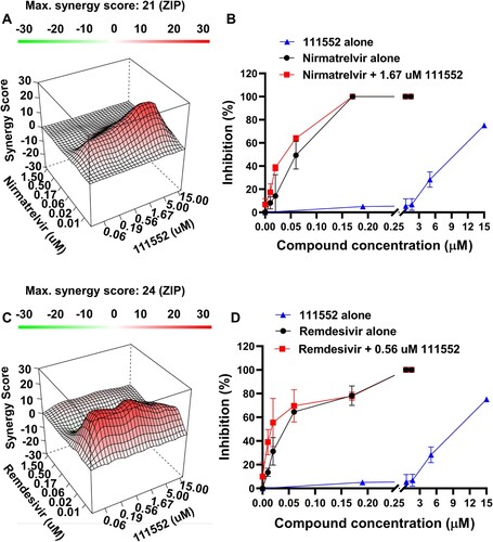 Figure 6. Synergy between inhibitors of NSP14 MTase, Mpro, and RdRp. (A,C) Topographic two-dimensional map of synergy scores for dose-response interaction matrix between NSC111552 and nirmatrelvir (A) and between NSC111552 and remdesivir (C), using Vero E6 cells against the SARS-CoV-2 WA strain in the presence of P-gp efflux inhibitor CP-100356 (2 µM) [Citation67–72]. The synergy scores were determined in SynergyFinder [Citation66] from the above checkerboard combination assay. (B,D) Dose-response of compounds alone and in combination with fixed concentration of one compound and varying that of the other. N = 3.