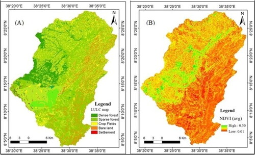 Figure 4. Land use and Land cover units (A) and Average Normalized Difference Vegetation Index (B) (NDVI) for upper Meki sub catchment.
