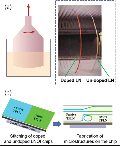 Figure 4. (a) Illustration of the growth of erbium ion doped bulk LN crystal [Citation74]. (b) Schematic of the fabrication of passive and active LNOI photonics by stitching and nanostructuring [Citation75].