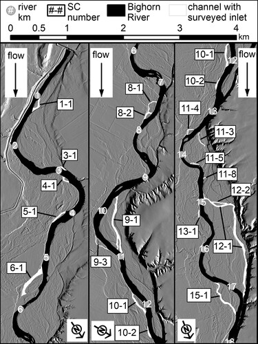Figure 6. The Bighorn River (black) and selected side channels (white), which correspond to the location of topographic surveys at channel inlets. Hillshade imagery is shown in the background.