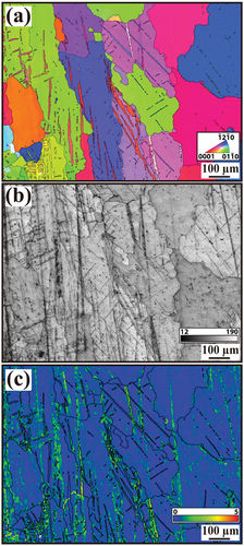 Figure 1. (a) EBSD IPF, (b) EBSD BC, and (c) EBSD KAM mappings of the as-cast alloy.