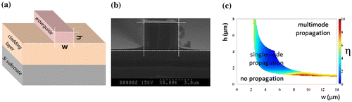 Figure 5. (a) Scheme and (b) SEM image of cross-section of chalcogenide ridge waveguide, (c) fundamental mode TM00 intensity profile for the optimal geometrical parameters (width w and height h) of chalcogenide waveguide and evolution of the evanescent power factor η as a function of w, h for single-mode propagation in the detection of any substance dissolved at λ = 7·66 μm.