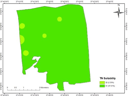 Figure 8. Total Nitrogen (TN) suitability map for sunflower production of Tungi Farm.