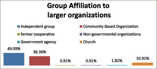 Figure 4. Group affiliation to larger organizations by respondents.