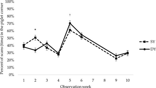 Figure 4. Percentage of scans (time) spent in the piglet corner by Swedish Yorkshire (SY) and Dutch Yorkshire (DY) female piglets in observation weeks 1–10. In total 17 scans per female piglet and observation week. LSM ± SE. For observations in weeks 3 and 4 in AP pens, when the piglets had access to both the home and neighbouring pen, observations in the piglet corner in both pens are included. Weaning occurred at week 5. N = 784 scans. Significance levels for pairwise differences within observation week are indicated: *0.01 < p < 0.05, †0.05 < p < 0.1.