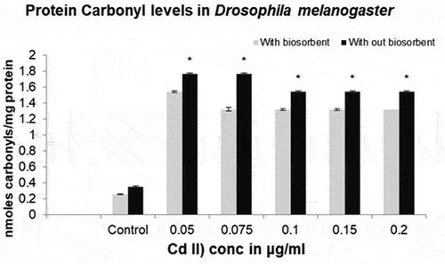 Figure 11. Protein Carbonyls in brain samples of Drosophila before and after exposure to biosorbent in water containing various concentrations of Cadmium (II).