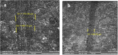 Figure 11. SEM images of the scratched (a) TiO2/ 8YSZ and (b) TiO2/15 YSZ coatings.