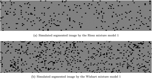 Figure 4. Simulated segmented images by the mixture model 1.