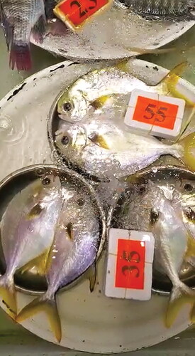 Figure 4. “Fish look better on small plates,” Tung Yick Market, 13 August 2022. Photo by C. T. Y. Tsang.