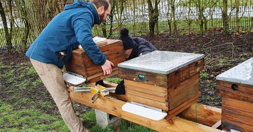Photo 2. The hive monitoring system BEEP base was placed under the hive at the apiary of Ghent University in Merendree, Belgium.