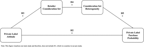 Figure 1. Conceptual framework of main study.