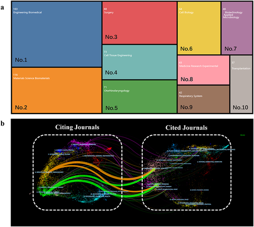 Figure 4. Subject distribution map and a dual-map overlay. (a) articles published in top 10 journals. Blocks of different colors represent different journals. (b) the dual-map overlay of journals that published articles on tissue-engineering trachea. Each small dot represents a journal, and different colors represent different clusters (cluster keyword: subject). The left area of the image represents the journals in which papers were published, the right area represents the cited journals, and the paths of different colors represent citation relationships between journals [Citation21]. There are four reference routes: two orange and two green paths.