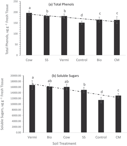 Figure 6. Concentrations of total phenols (a) and soluble sugars ± std. error (b) in sweet potato roots of plants grown under sex soil management practices (chicken manure, CM; cow manure cow, vermicompost vermi, biochar bio, sewage sludge SS, and no mulch NM control. Statistical comparisons were performed among six treatments. Bars associated with the same letter(s) are not significantly different (p ≥ 0.05) using Duncan’s multiple range test.