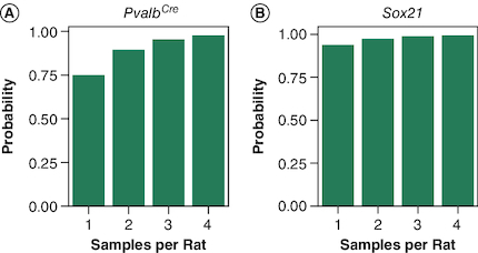 Figure 3. Taking 2 samples per rat increases the probability of detecting a true-positive PCR result.(A) Bar plot of probability of observing at least one visible PvalbCre PCR product band given the number of samples collected from a known-positive PvalbCre rat. (B) Bar plot of probability of observing at least one visible Sox21 PCR product band given the number of samples collected.