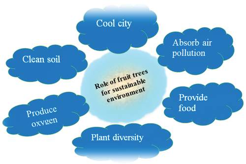 Figure 2. Contributions of fruit trees to the sustainable environment (short summary).