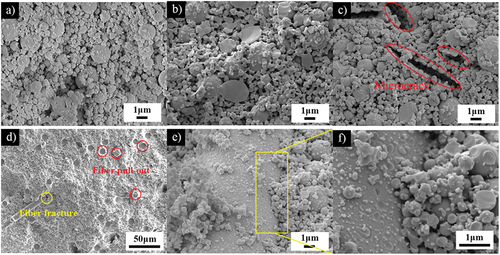 Figure 10. The fracture morphology of the SiO2f/SiO2 composite ceramic at different sintering temperatures: (a) 800°C, (b) 900°C, (c) 1000°C, (d)~(f) fiber morphology at 900°C.
