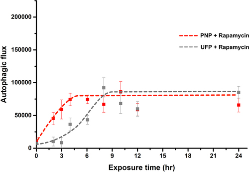 Figure 4. Kinetics of autophagy activation in A549 cells concurrently exposed apically to Rapamycin and PNP or UFP at t = 0. Concurrent apical exposure at t = 0 of A549 cells to Rapamycin (50 nM) + PNP (80 μg/mL) or Rapamycin (50 nM) + UFP (1 μg/mL) resulted in more rapid activation of autophagy in comparison to exposure to PNP or UFP alone (Figure 2). Data at each time point are from 31-49 single cells. Detailed data with statistical analyses are shown in Table 1.