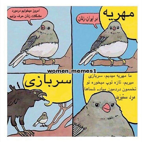 Figure 2. Farsi version of annoyed bird meme.