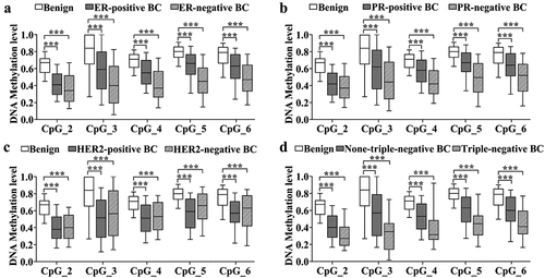 Figure 3. The methylation levels of IL21R in BC with different ER, PR, and HER2 status. IL21R methylation levels were significantly lower in BC the various ER (a), PR (b) and HER2 (c) statuses compared to the benign breast tumour groups. (d) Both triple-negative (ER-, PR- and HER2-negative) BC and non-triple-negative BC showed hypomethylation of the IL21R gene compared to the benign breast tumour groups. The p-values were calculated by logistic regression adjusted for age and batches of measurements. ***p-value < 0.001.
