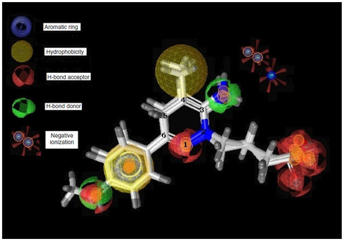 Figure 4 Pharmacophore model of highly active compounds.