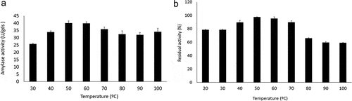 Figure 5. Effect of temperature on Trichoderma stromaticum AM7 amylase activity (a) and stability (b).
