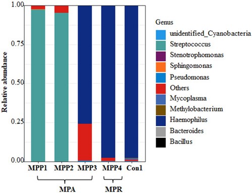 Figure 6. Relative abundance at the genus level of the children with discordant diagnosis based on the clinical diagnosis and Mycoplasma abundance.
