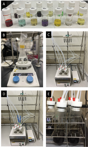 Figure 1. Illustrations of the NPs synthesis process: (a) individual metal precursor solutions, (b) pretreating a TEG/PVP solution, (c) heating TEG/PVP solutions at 200 °C, (d) reaction setup with two syringes for a mixed metal solution and a reducing agent, and (E) obtained NPs suspensions.