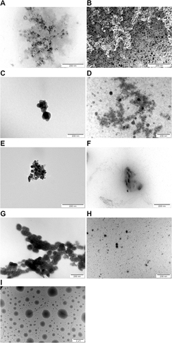 Figure 3 TEM visualization of the materials used in the experiments. (A) Ag; (B) AgF; (C) Au; (D) AuF; (E) Cu; (F) CuF; (G) ZnO; (H) ZnOF; (I) F.