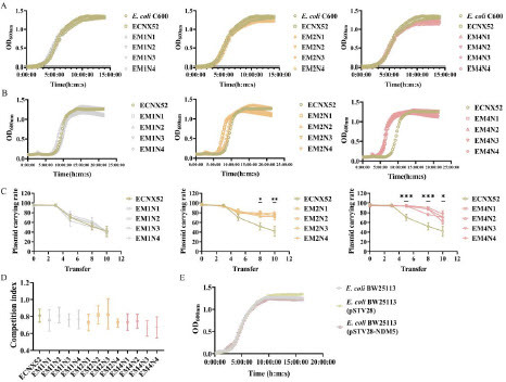 Figure 2. Fitness assessment of evolved ECNX52 strains. A. Growth curve of evolved ECNX52 strains in antibiotic-free LB medium. B. Growth curve of evolved ECNX52 strains in LB medium containing 16 μg/mL MEM. C. Stability of pNX52-NDM-5 plasmid in evolved ECNX52 strains. D. Competition index between evolved ECNX52 strains and E. coli C600. E. Fitness assessment of blaNDM-5 resistance gene. pSTV28-NDM5 is a blaNDM-5 overexpression plasmid with pSTV28 as the vector.