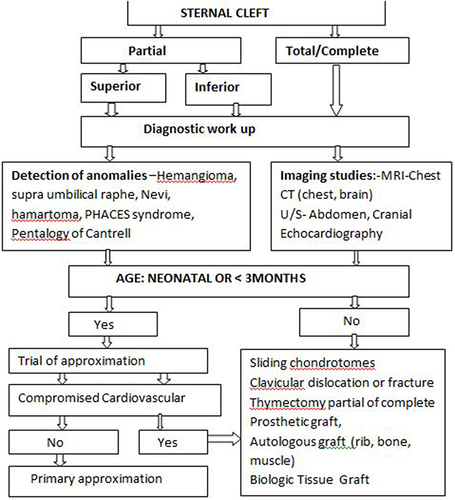 Figure 1 Stepwise approach for management of sternal cleft.