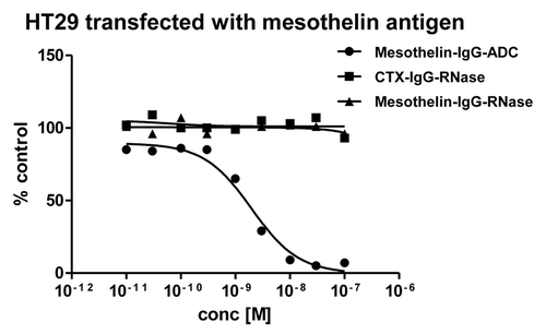 Figure 9. Growth inhibition of mesothelin-antigen expressing tumor cell lines. Mesothelin-antigen stably overexpressing HT29 cells were incubated with mesothelin-IgG based immunoRNase fusion protein. CTX-IgG-RNase was used as negative control. Mesothelin-IgG conjugated to a maytansinoid-based toxophore was used as positive control.