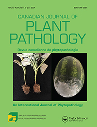 Cover image for Canadian Journal of Plant Pathology, Volume 46, Issue 3, 2024
