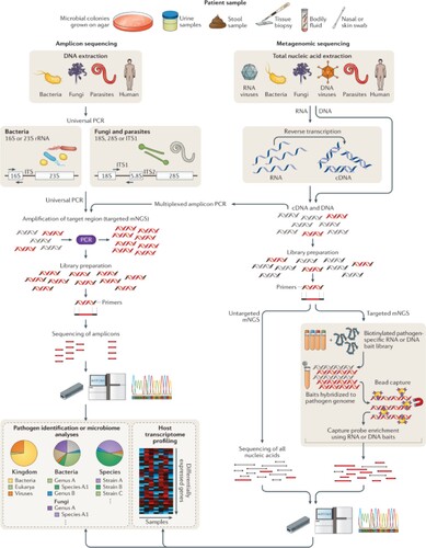 Figure 2. General metagenomics strategy for human microbial discovery and analysis (Chiu and Miller Citation2019). Figure reproduced with permission from Chiu Charles (2024).