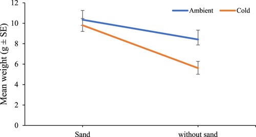 Figure 2. The mean weight (g) of sea cucumbers over eight weeks. Data are presented as mean (±SE; n = 15). Different letters beside each line represent a significant difference between treatments (Tukey, p < 0.05). A + S = Ambient water temperature + sand; A − S = ambient water temperature – sand; C + S = cold water temperature + sand; C-S = cold water temperature – sand.