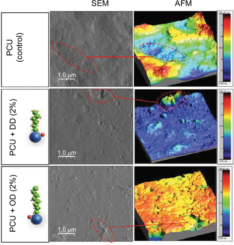 Figure S2 Characterization of LCAH–SNAP–PCU: AFM images showing changes in topography after the addition of OD/DD–SNAP.
