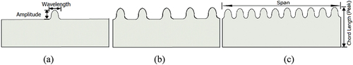 Figure 2. A wind turbine blade with (a) single, (b) intermittent, and (c) continuous protuberances.