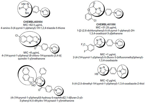 Figure 1 Reported molecules; pyrrole connected to heterocycles (oxadiazole, triazole, pyrazolo[3,4-b]quinolin-1-yl, naphtha[2,1-b]furan-2-yl) through phenyl bridge.