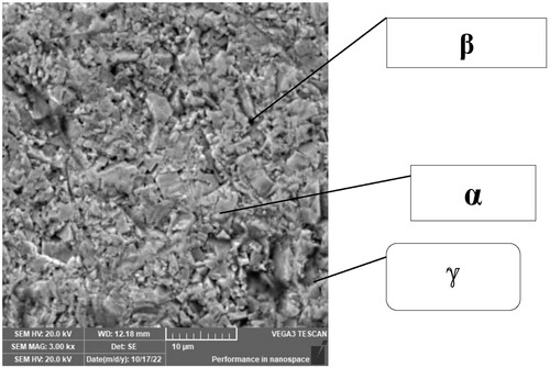 Figure 2. Microstructure image for carbide cutting insert.
